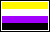 The Nonbinary Pride Flag